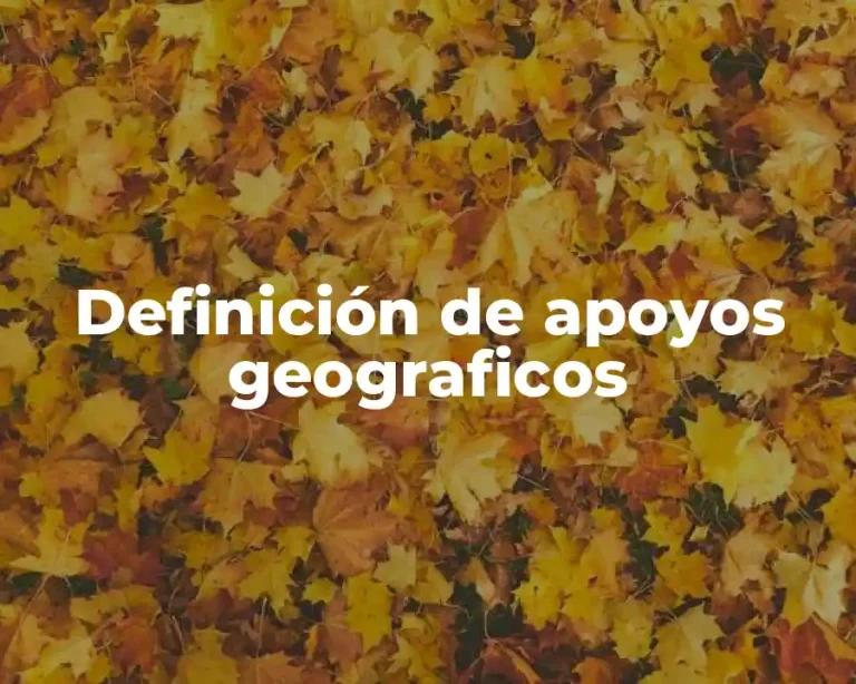 Definición de apoyos geograficos