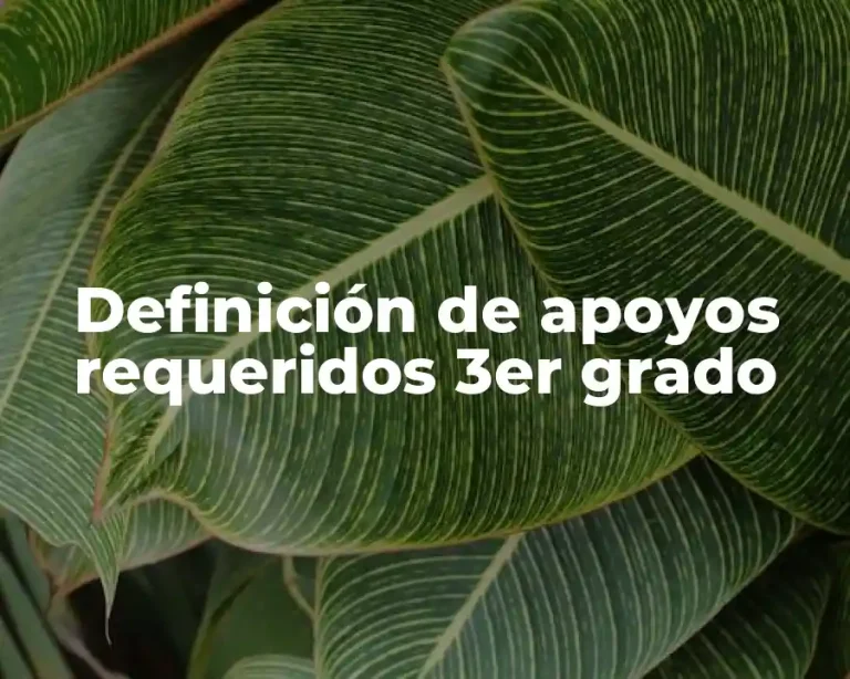 Definición de apoyos requeridos 3er grado