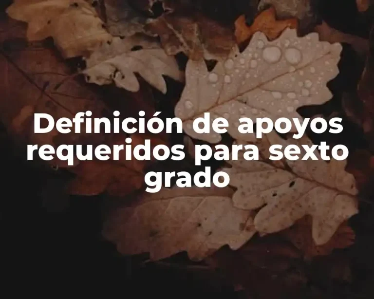 Definición de apoyos requeridos para sexto grado