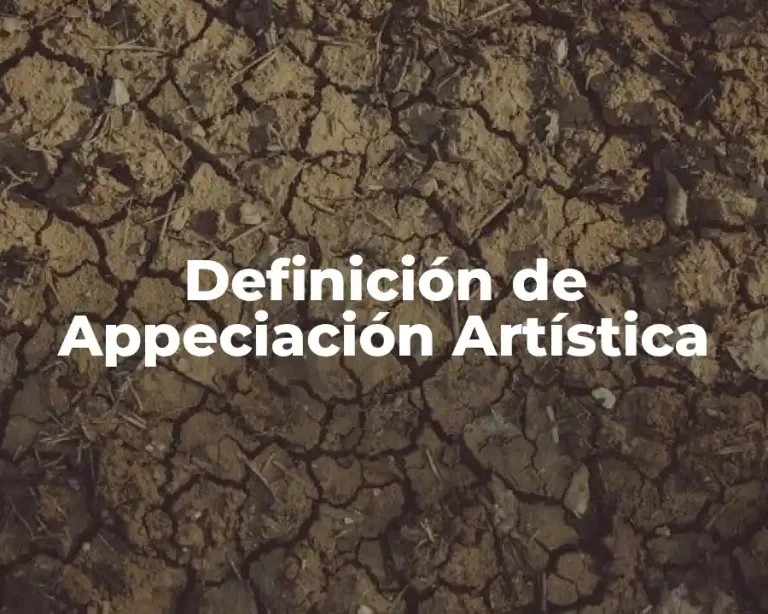 Definición de Appeciación Artística