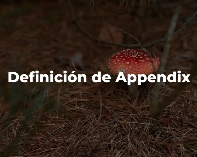 Definición de Appendix