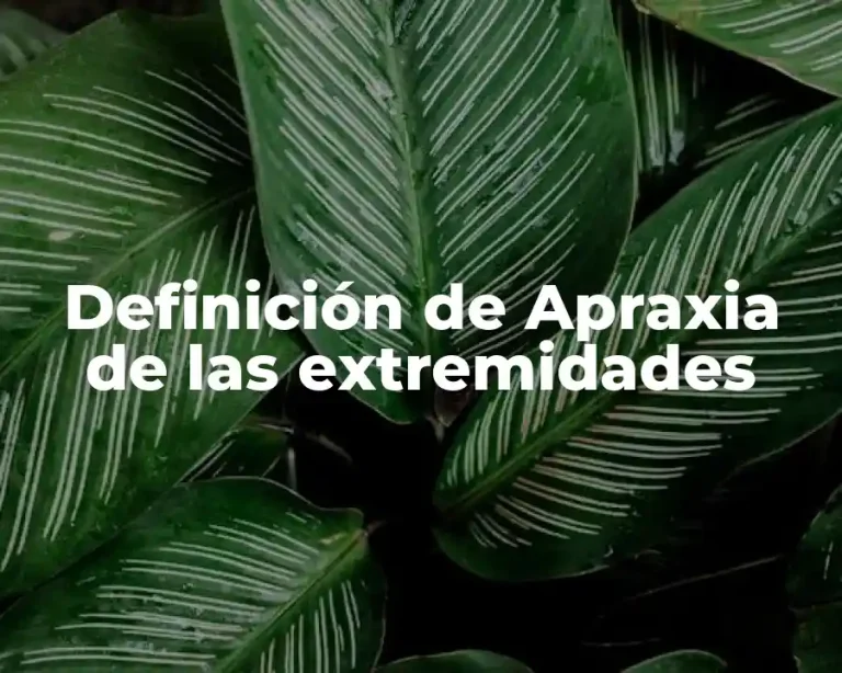 Definición de Apraxia de las extremidades