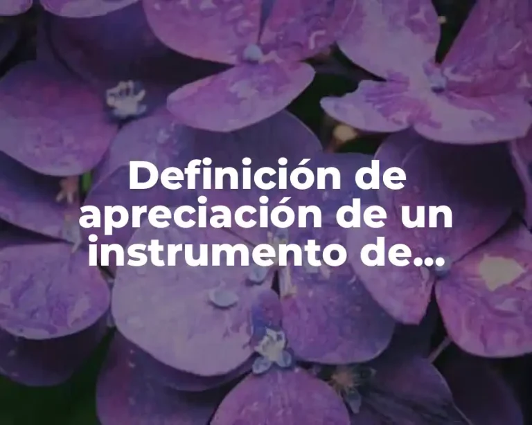 Definición de apreciación de un instrumento de medición