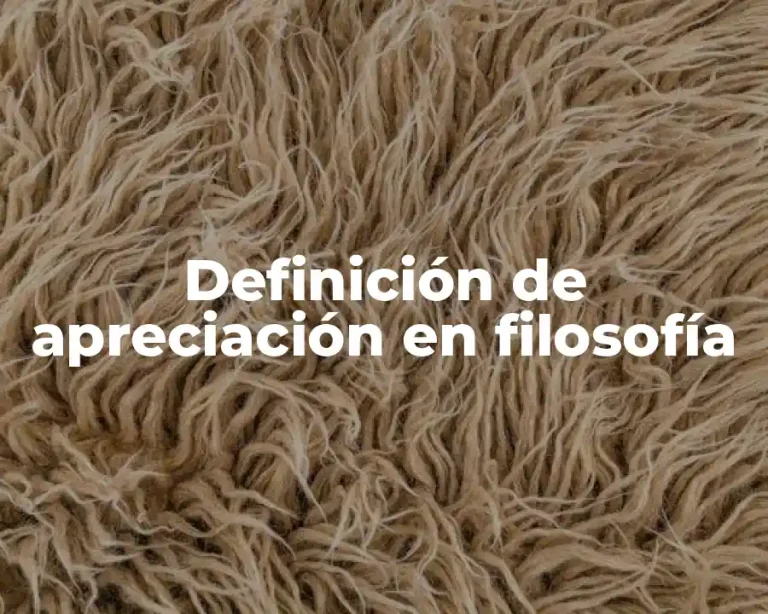 Definición de apreciación en filosofía