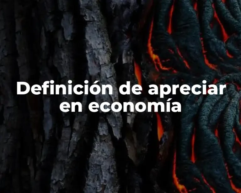 Definición de apreciar en economía