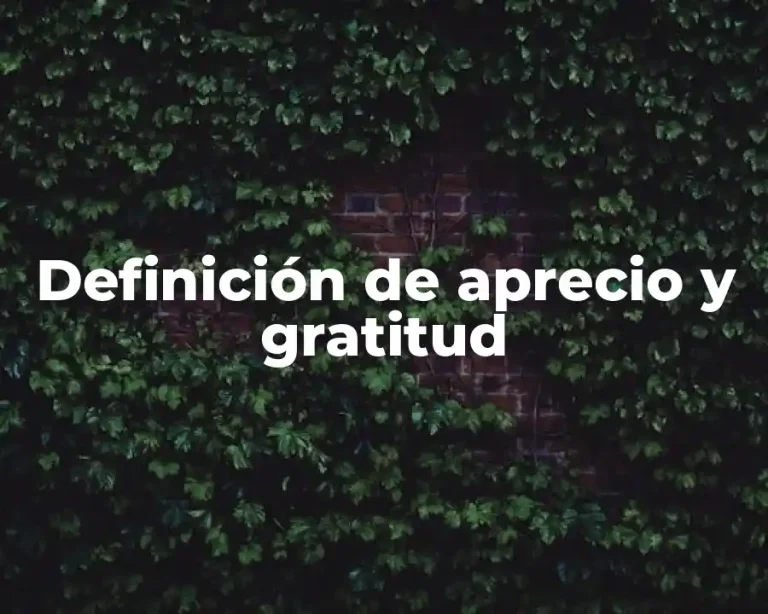 Definición de aprecio y gratitud