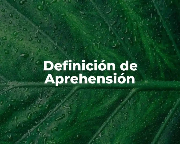 Definición de Aprehensión