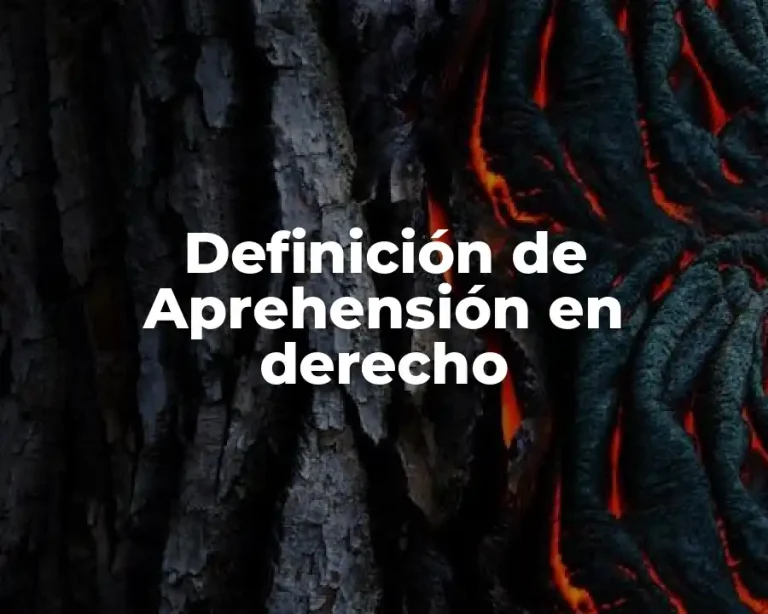 Definición de Aprehensión en derecho