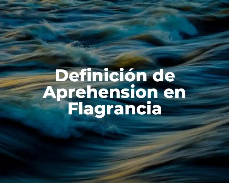 Definición de Aprehension en Flagrancia