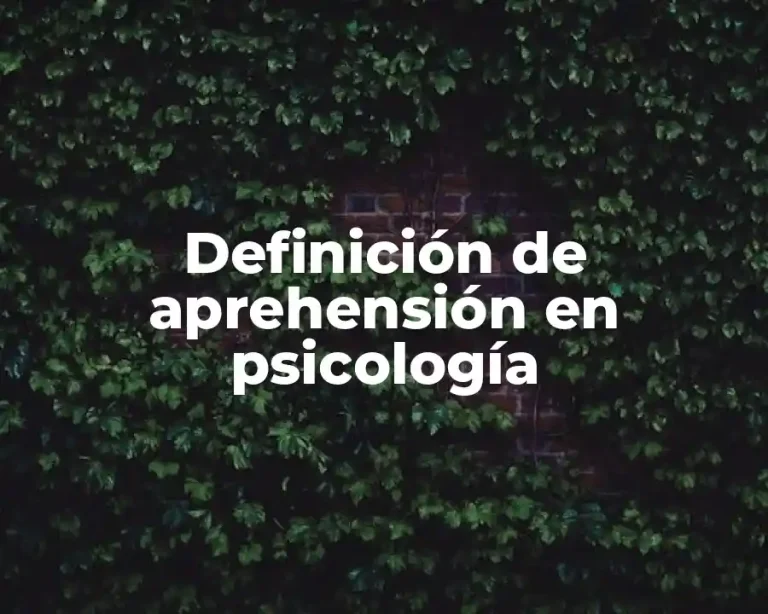 Definición de aprehensión en psicología
