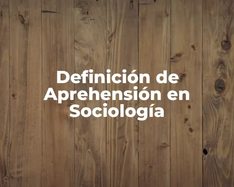 Definición de Aprehensión en Sociología