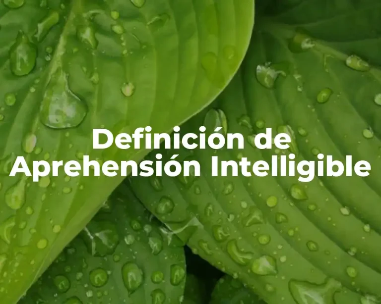 Definición de Aprehensión Intelligible