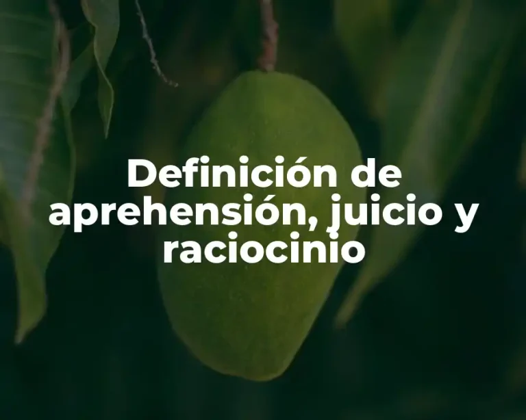 Definición de aprehensión, juicio y raciocinio
