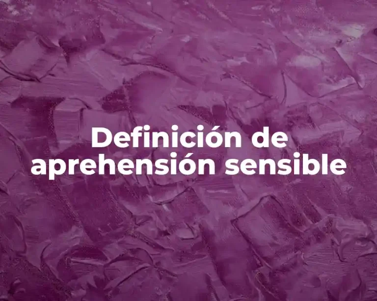 Definición de aprehensión sensible