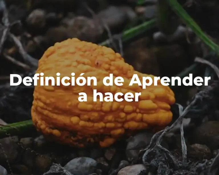 Definición de Aprender a hacer