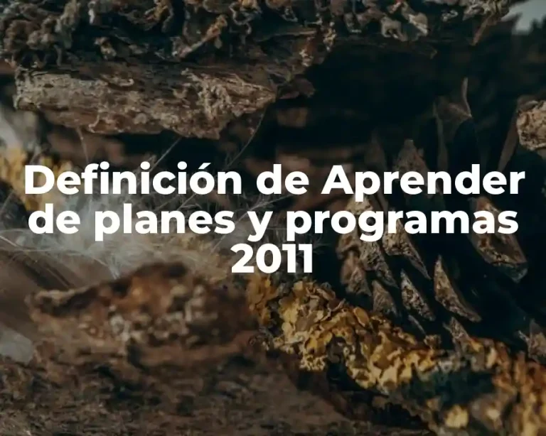 Definición de Aprender de planes y programas 2011