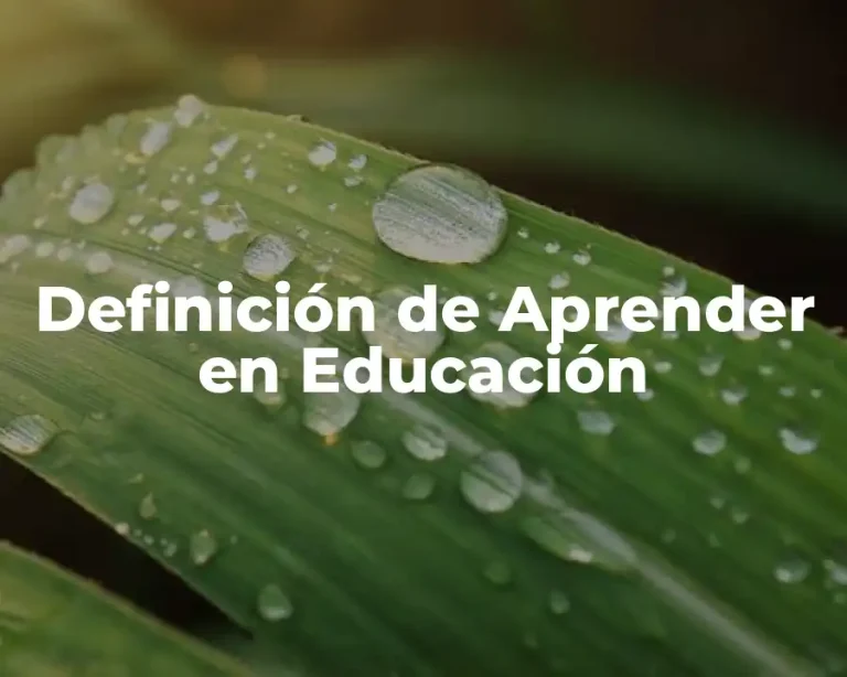 Definición de Aprender en Educación