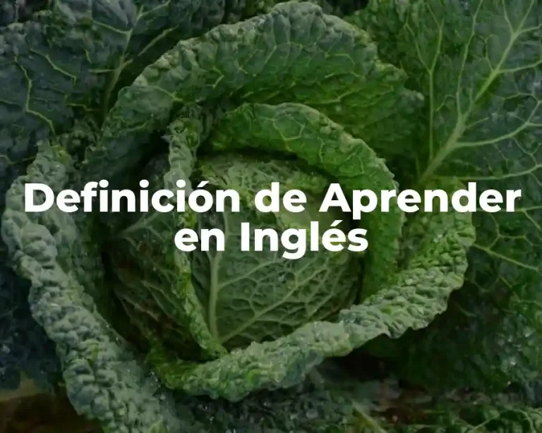 Definición de Aprender en Inglés