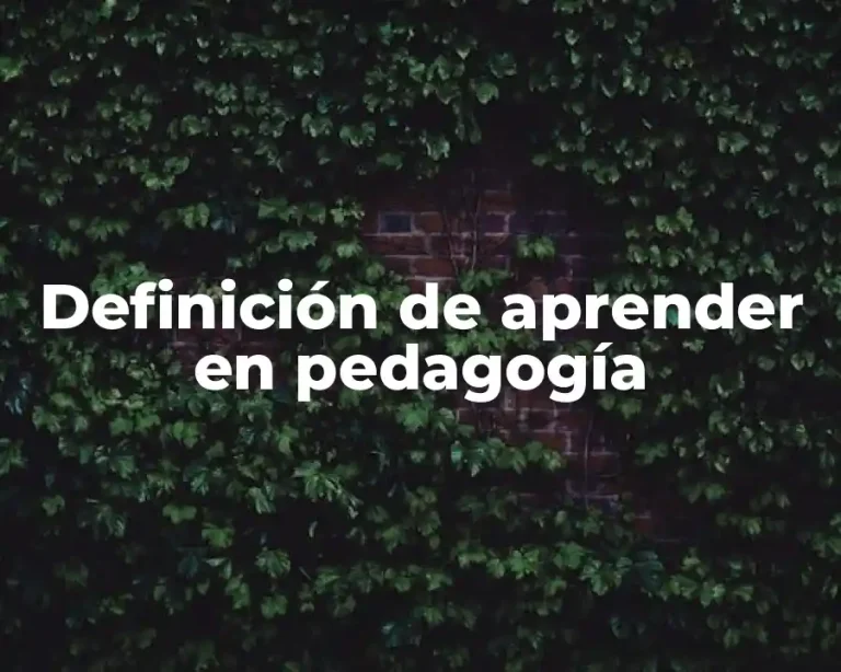 Definición de aprender en pedagogía