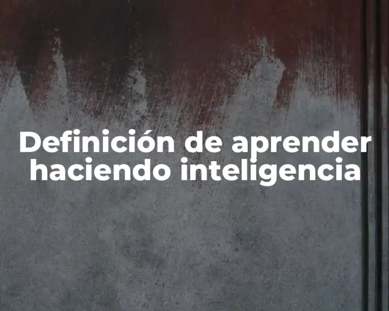 Definición de aprender haciendo inteligencia