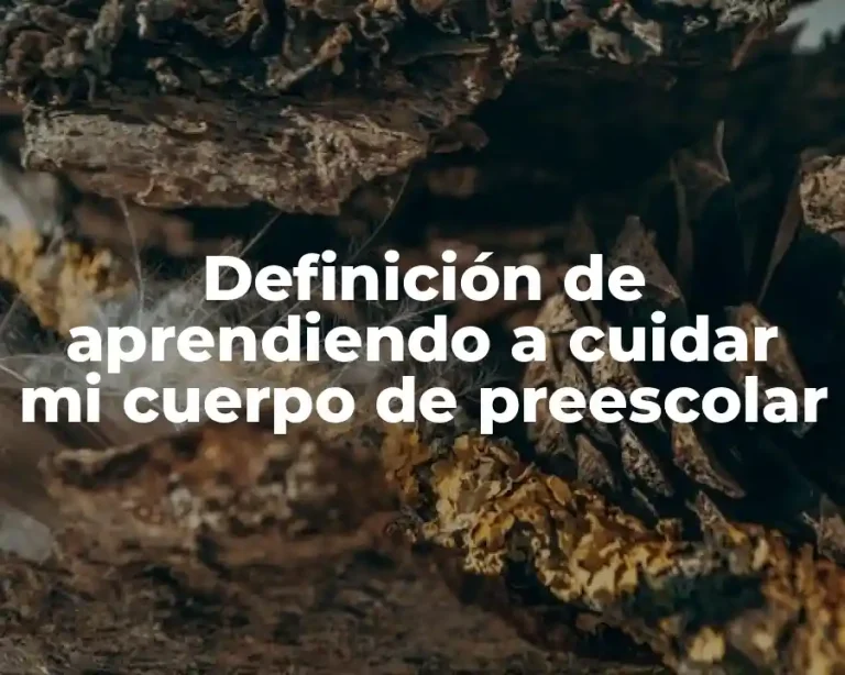 Definición de aprendiendo a cuidar mi cuerpo de preescolar