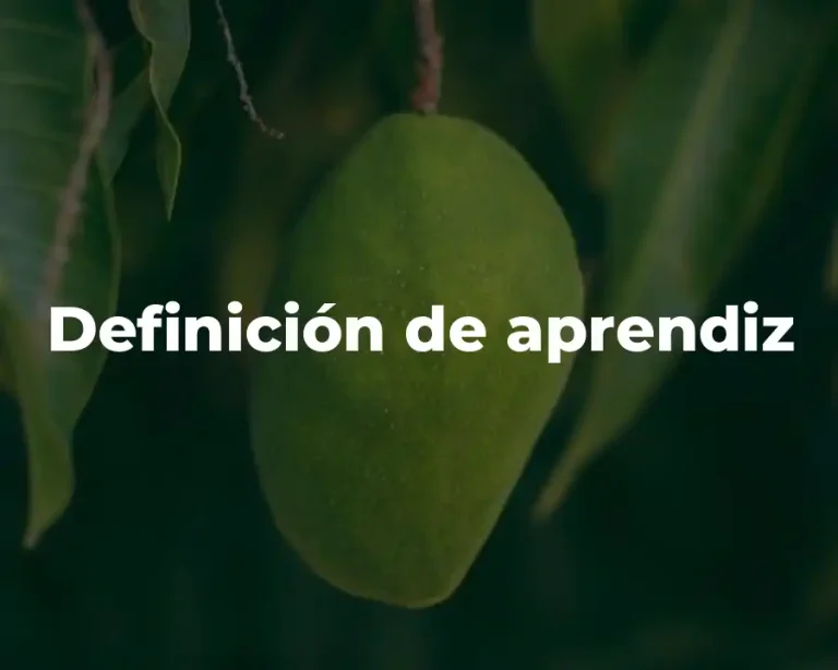 Definición de aprendiz