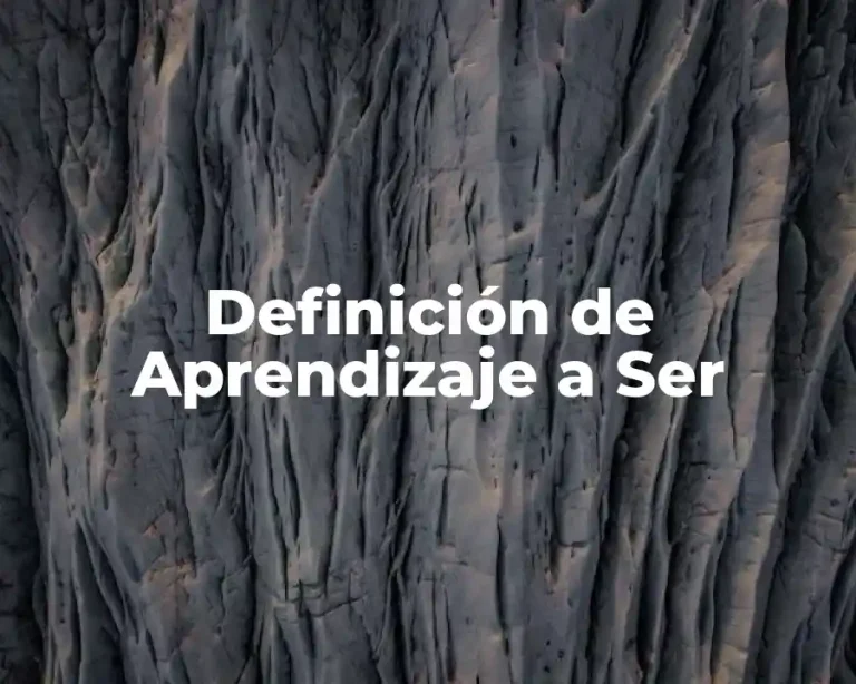 Definición de Aprendizaje a Ser