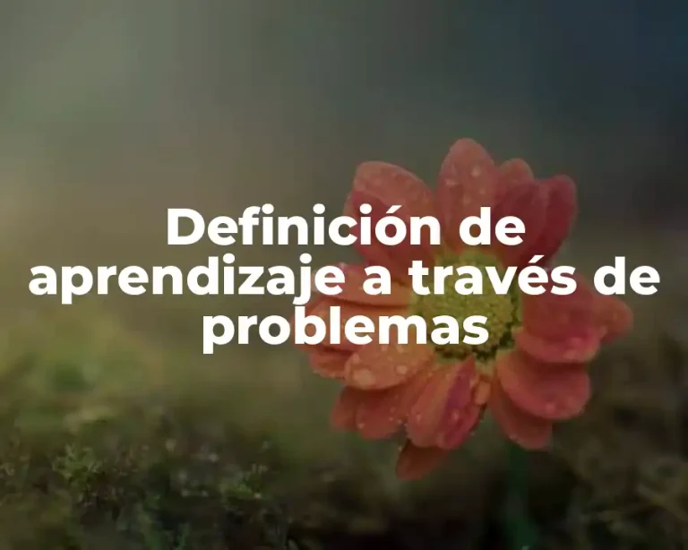 Definición de aprendizaje a través de problemas