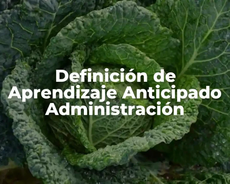 Definición de Aprendizaje Anticipado Administración