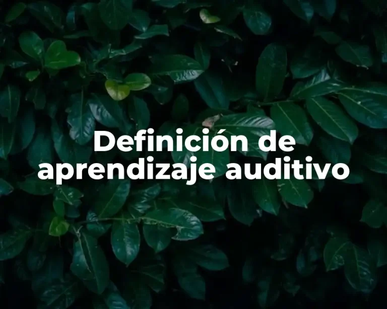 Definición de aprendizaje auditivo