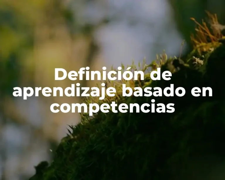 Definición de aprendizaje basado en competencias