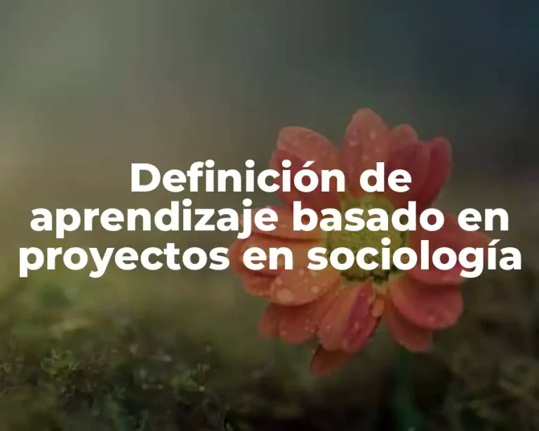 Definición de aprendizaje basado en proyectos en sociología