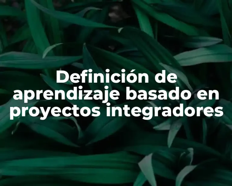 Definición de aprendizaje basado en proyectos integradores