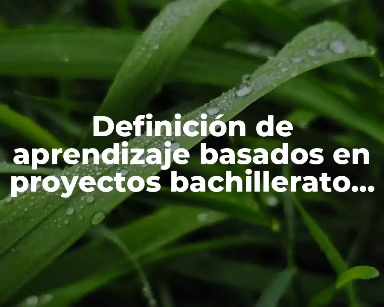 Definición de aprendizaje basados en proyectos bachillerato Slideshare