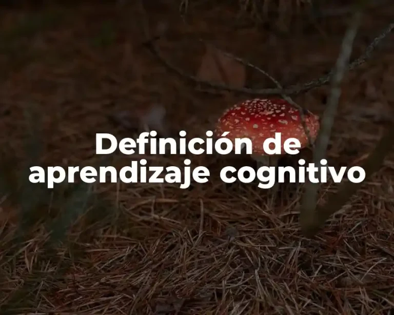 Definición de aprendizaje cognitivo