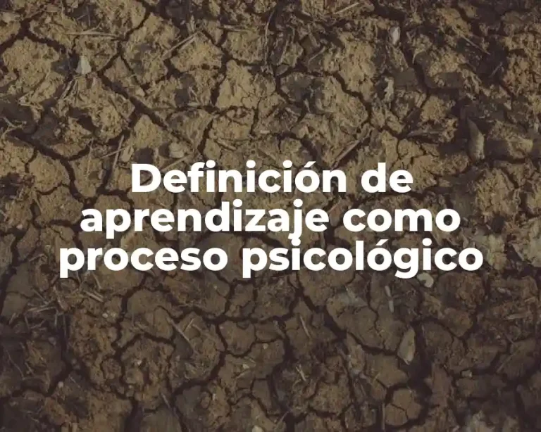 Definición de aprendizaje como proceso psicológico