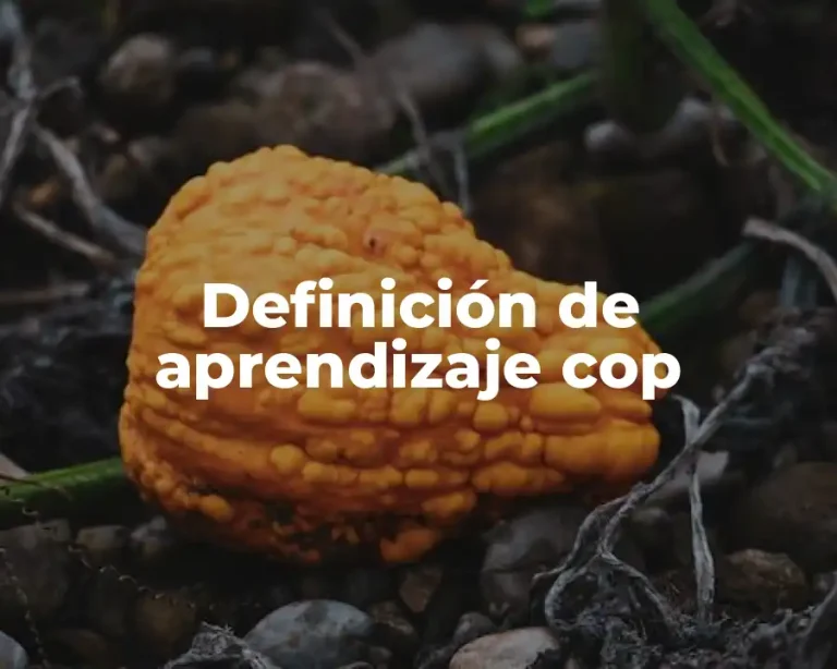 Definición de aprendizaje cop