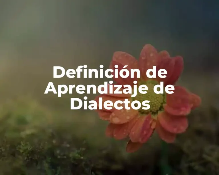 Definición de Aprendizaje de Dialectos