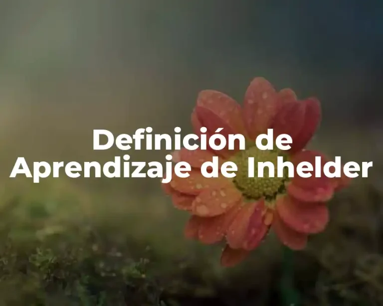 Definición de Aprendizaje de Inhelder