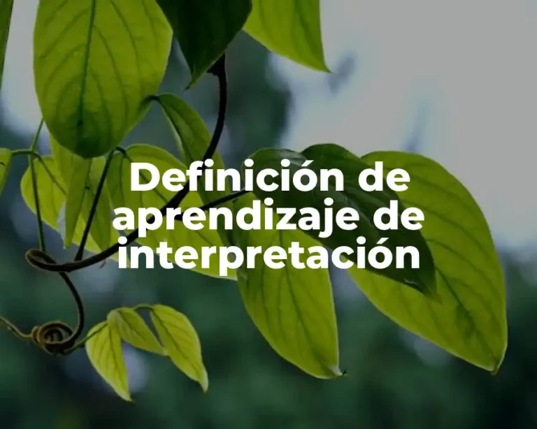 Definición de aprendizaje de interpretación