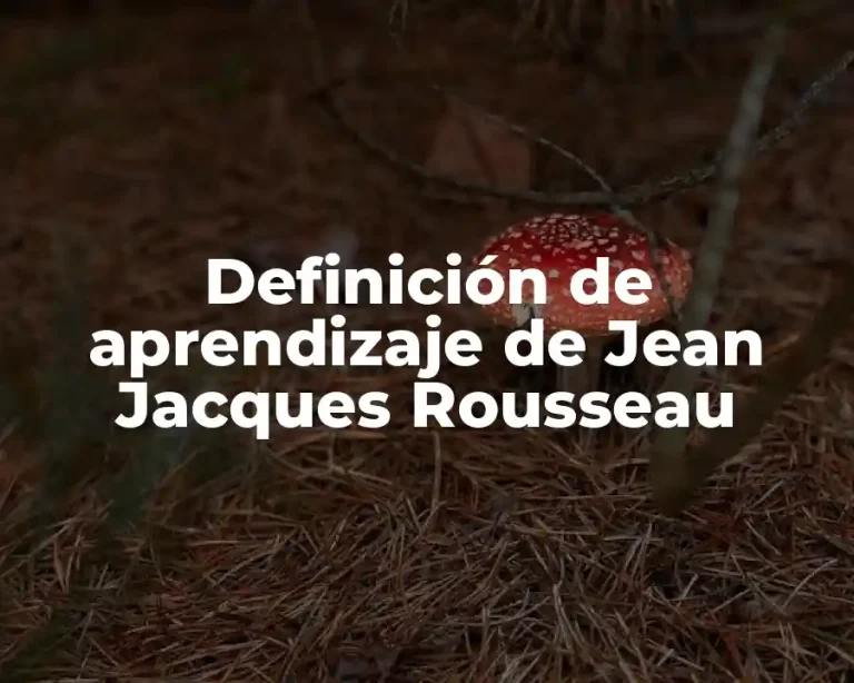 Definición de aprendizaje de Jean Jacques Rousseau