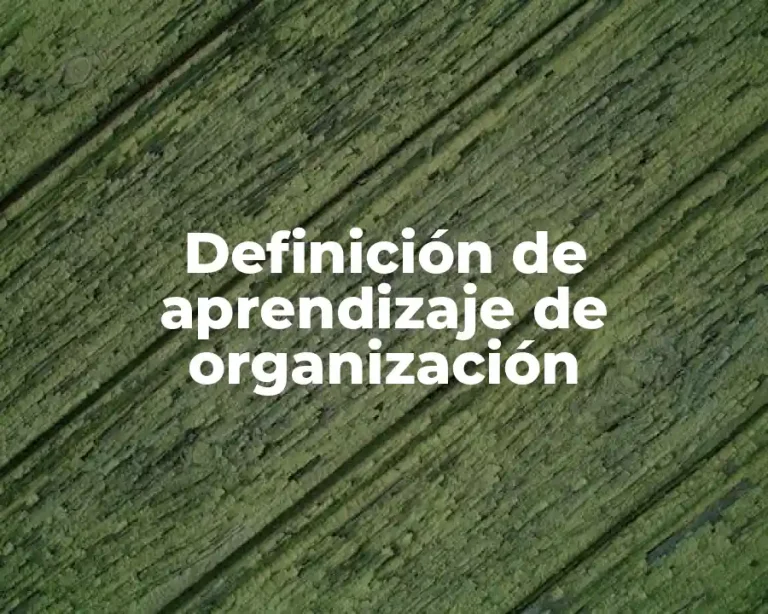 Definición de aprendizaje de organización