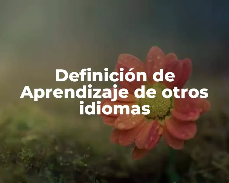 Definición de Aprendizaje de otros idiomas