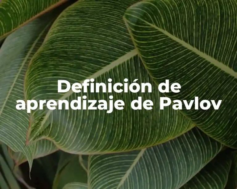 Definición de aprendizaje de Pavlov
