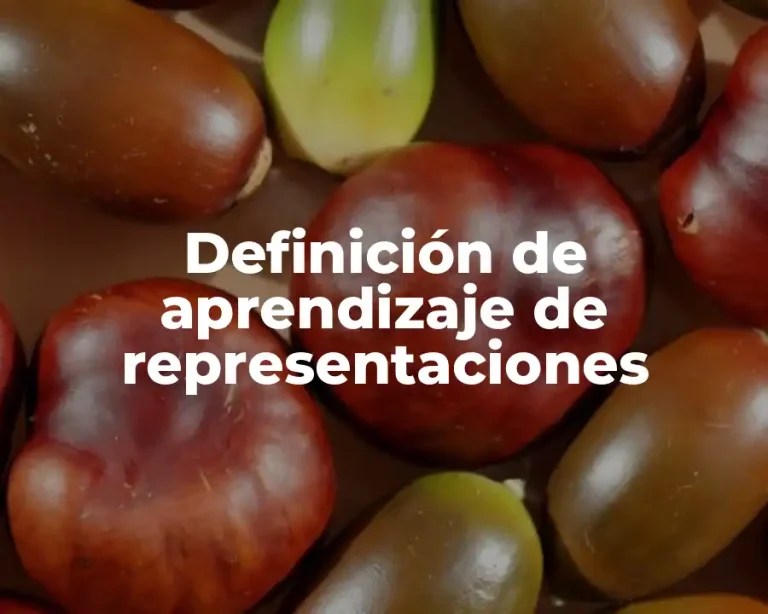 Definición de aprendizaje de representaciones