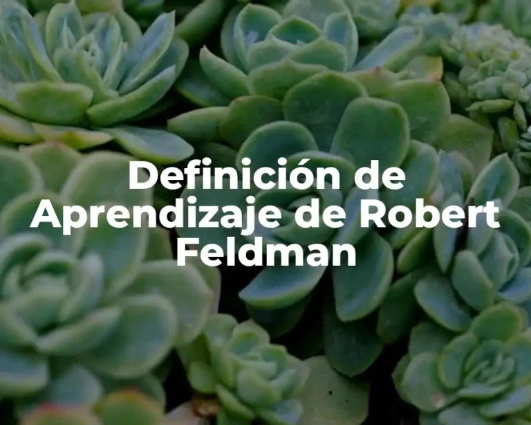 Definición de Aprendizaje de Robert Feldman