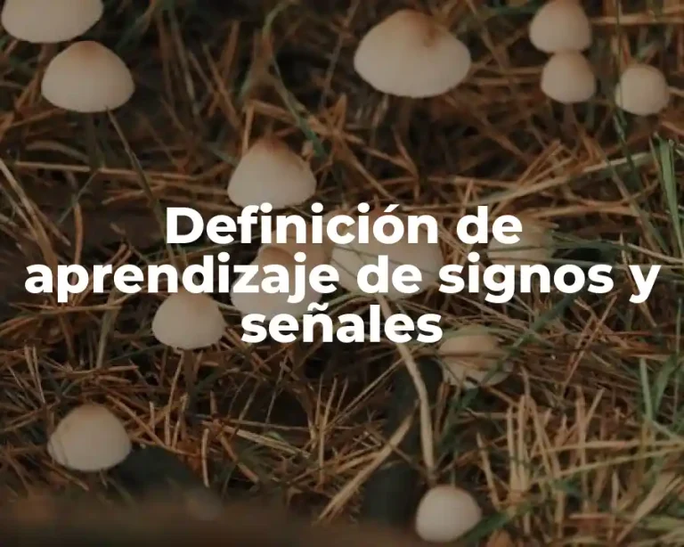 Definición de aprendizaje de signos y señales