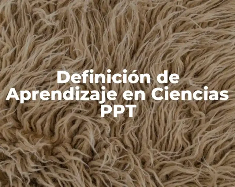Definición de Aprendizaje en Ciencias PPT