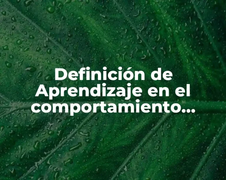 Definición de Aprendizaje en el comportamiento organizacional