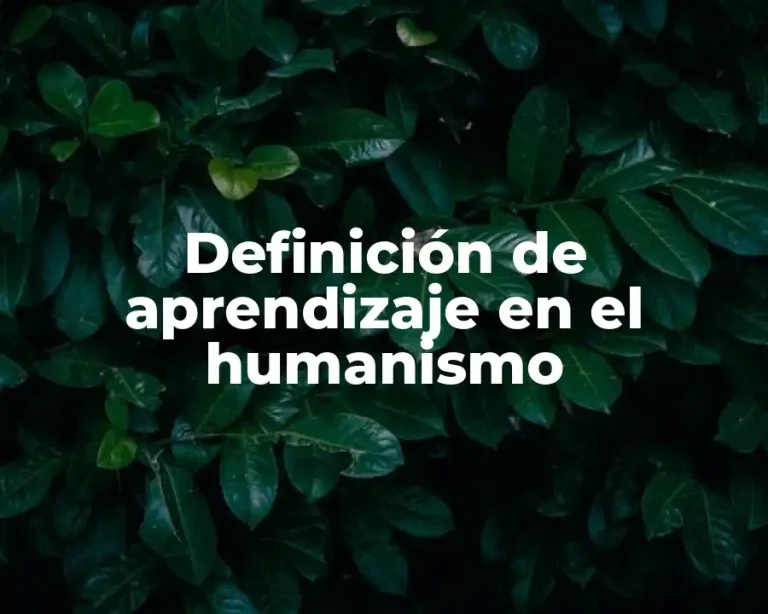Definición de aprendizaje en el humanismo